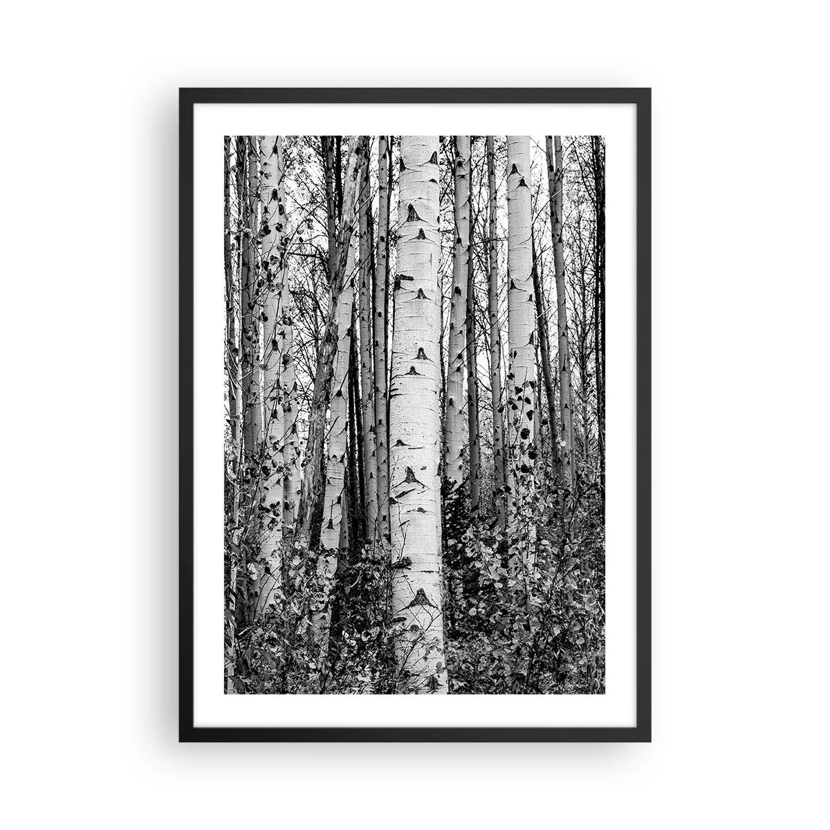 Poster in einem schwarzem Rahmen - Schwarze und weiße Birken bilden einen symmetrischen Wald - 50x70cm - Birkenkolonnade - Moderne Wanddekoration für Wohnzimmer und Schlafzimmer ARTTOR