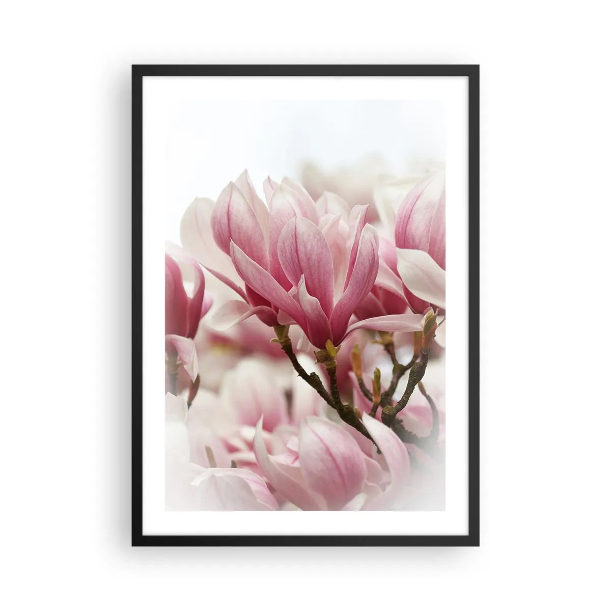 Poster in einem schwarzem Rahmen - Frühlingsblumen - 50x70cm - Frühlingsblumen - Moderne Wanddekoration für Wohnzimmer und Schlafzimmer ARTTOR