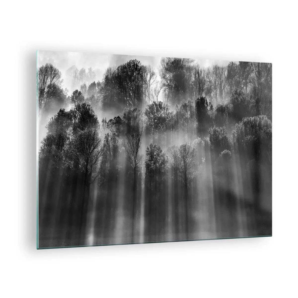 Glasbild - Bild auf glas - Schwarze und weiße Lichtstrahlen durchdringen den Wald - 70x50cm - In Lichtstrahlen - Moderne Wanddekoration für Wohnzimmer und Schlafzimmer ARTTOR