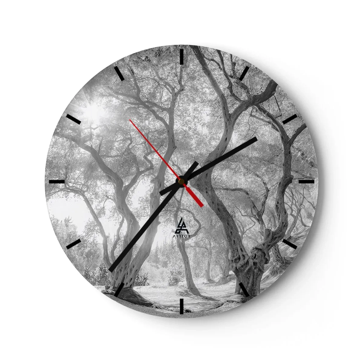 Wanduhr - Glasuhr - Schwarze und weiße Bäume im Sonnenlicht im Wald - 30x30cm - Im Olivenhain - Moderne Wanddekoration für Wohnzimmer, Küche und Schlafzimmer ARTTOR
