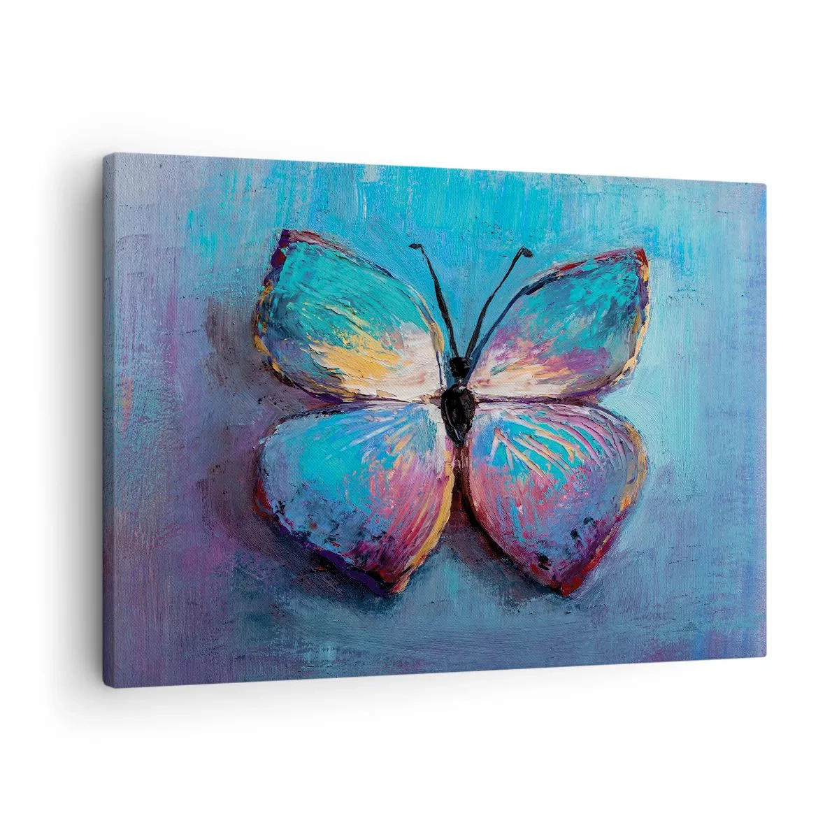 Bild auf Leinwand - Leinwandbild - Bunter Schmetterling auf blauem Hintergrund - 70x50cm - In all seiner Pracht - Moderne Wanddekoration für Wohnzimmer und Schlafzimmer ARTTOR