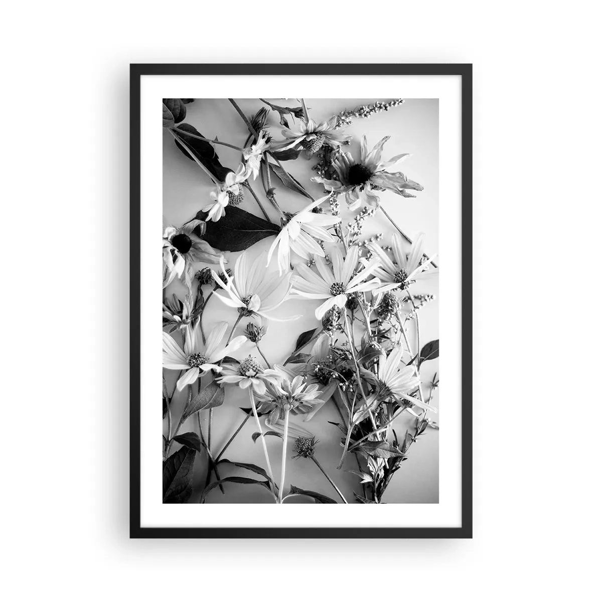 Poster in einem schwarzem Rahmen - Schwarze und weiße Blumen in einem kunstvollen Arrangement arrangiert - 50x70cm - Kein Blumenstrauß - Moderne Wanddekoration für Wohnzimmer und Schlafzimmer ARTTOR