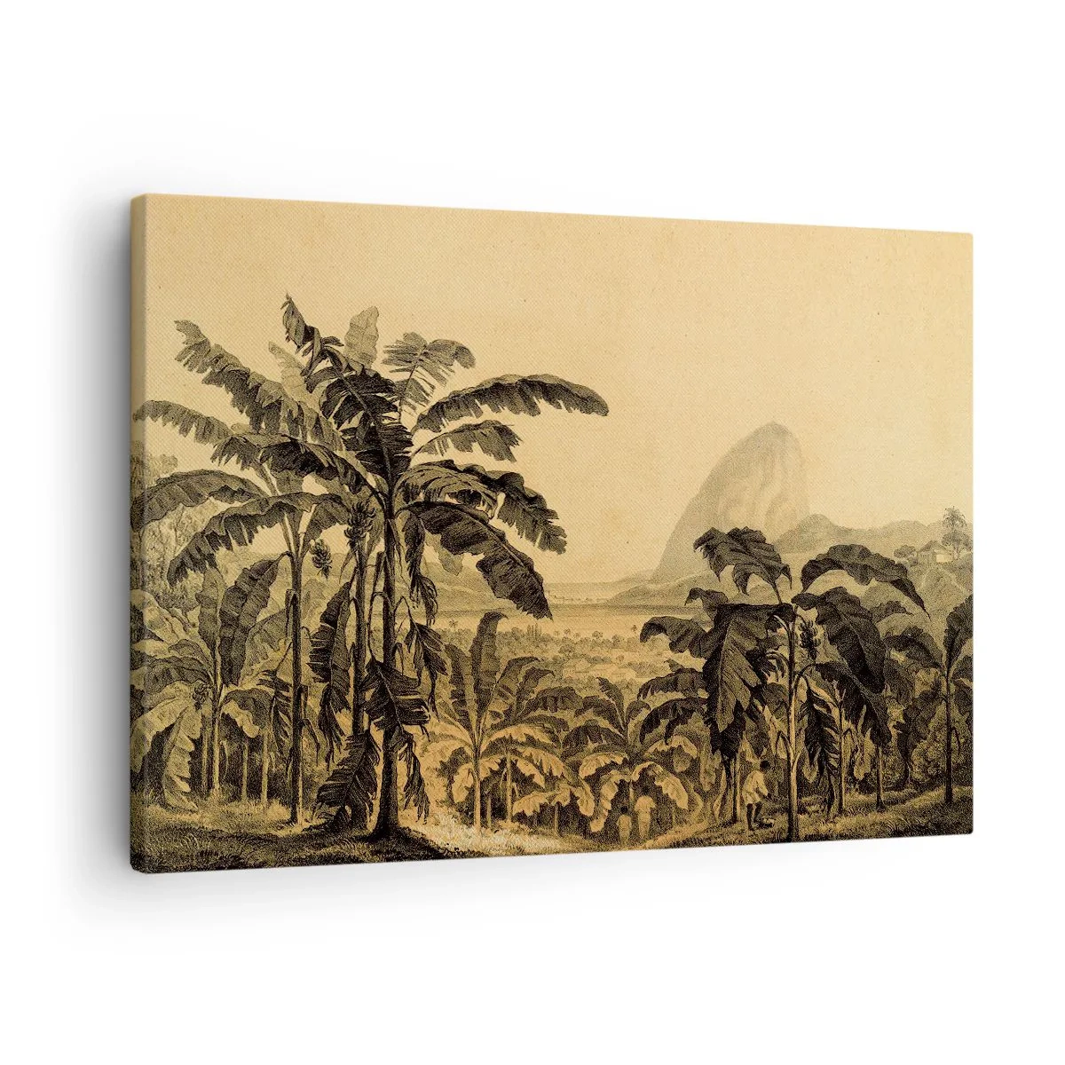 Bild auf Leinwand - Leinwandbild - Zeichnung von Bananenbäumen vor dem Hintergrund einer tropischen Landschaft - 70x50cm - in einem kolonialen Klima - Moderne Wanddekoration für Wohnzimmer und Schlafzimmer ARTTOR