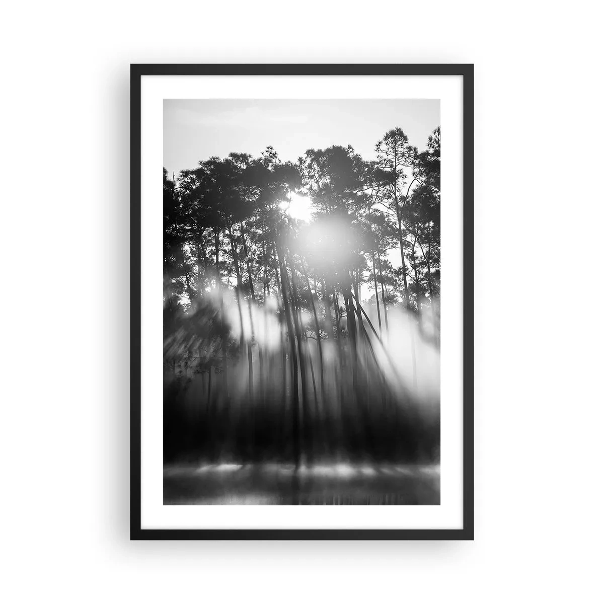 Poster in einem schwarzem Rahmen - Schwarz-weiße Waldszene mit Sonnenstrahlen im Nebel - 50x70cm - Unaufhaltsame Sonne - Moderne Wanddekoration für Wohnzimmer und Schlafzimmer ARTTOR