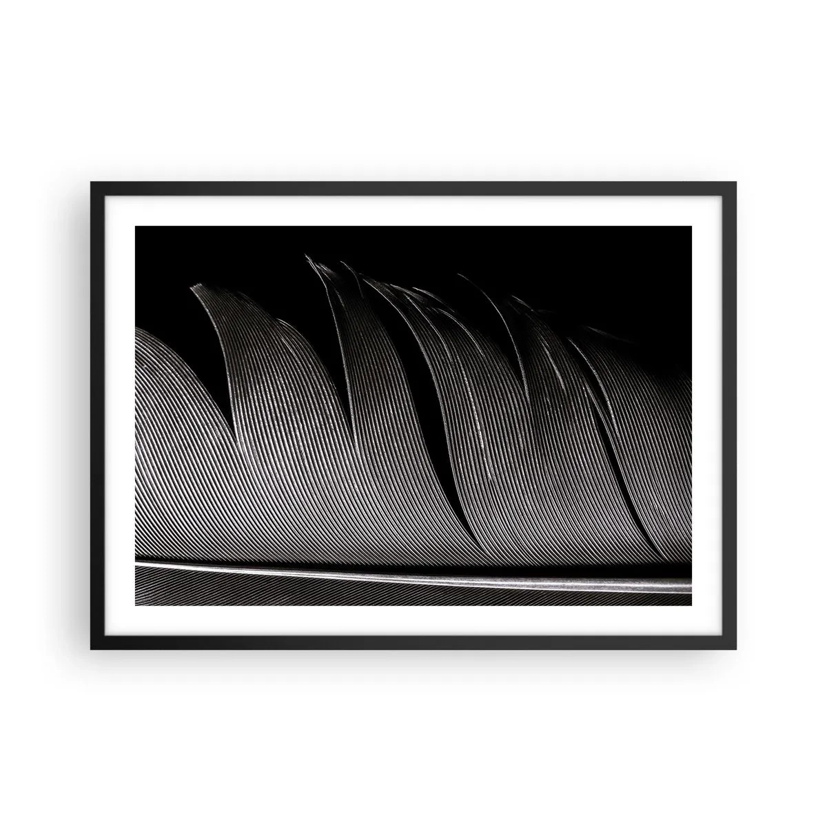 Poster in einem schwarzem Rahmen - Schwarz-weiße Federstruktur im minimalistischen Stil - 70x50cm - Stift – ein wunderbares Design - Moderne Wanddekoration für Wohnzimmer und Schlafzimmer ARTTOR