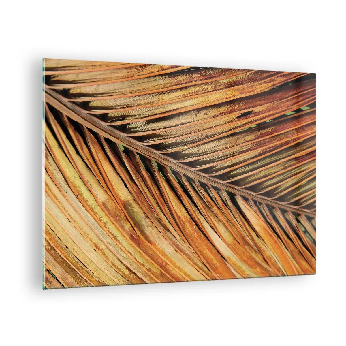 Glasbild - Bild auf glas - Nahaufnahme von trockenen, goldenen Palmblättern - 70x50cm - Kokosnuss-Gold - Moderne Wanddekoration für Wohnzimmer und Schlafzimmer ARTTOR