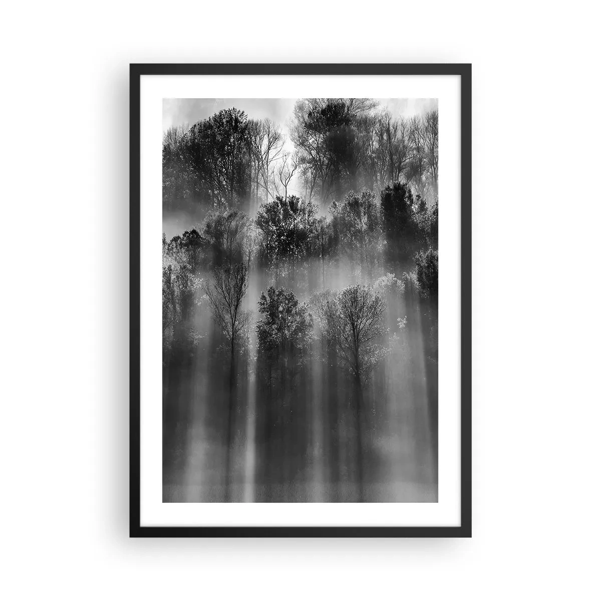Poster in einem schwarzem Rahmen - Schwarz-weißer Wald im Nebel mit Sonnenstrahlen - 50x70cm - In Lichtstrahlen - Moderne Wanddekoration für Wohnzimmer und Schlafzimmer ARTTOR