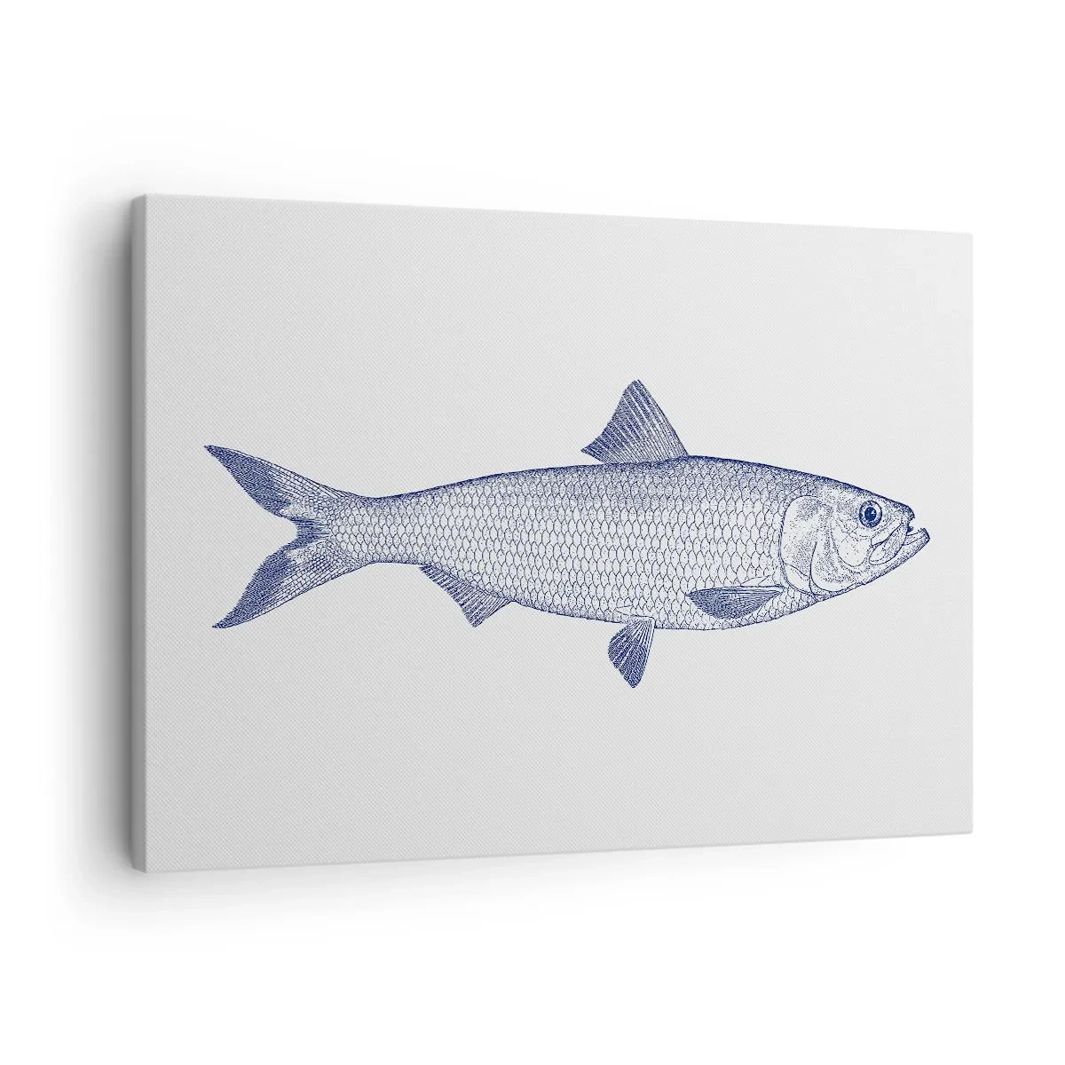 Bild auf Leinwand - Leinwandbild - Illustration eines Fisches in Blautönen auf hellem Hintergrund - 70x50cm - Grüße aus den nördlichen Meeren - Moderne Wanddekoration für Wohnzimmer und Schlafzimmer ARTTOR