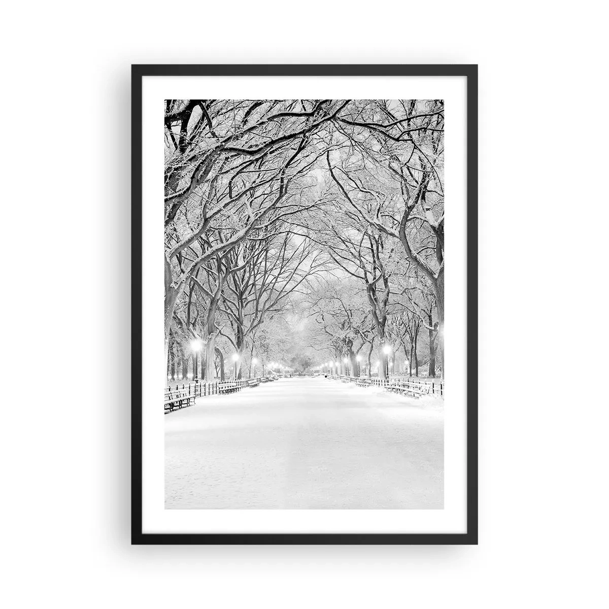 Poster in einem schwarzem Rahmen - Eine winterliche Allee mit schneebedeckten Bäumen im Park - 50x70cm - Vier Jahreszeiten - Winter - Moderne Wanddekoration für Wohnzimmer und Schlafzimmer ARTTOR
