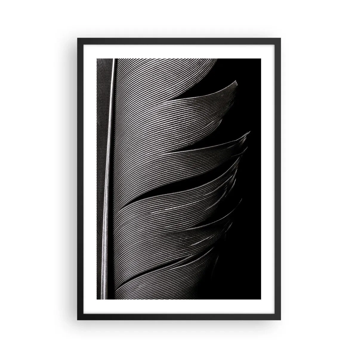Poster in einem schwarzem Rahmen - Eine minimalistische Interpretation einer Feder in Schwarz und Weiß - 50x70cm - Stift – ein wunderbares Design - Moderne Wanddekoration für Wohnzimmer und Schlafzimmer ARTTOR