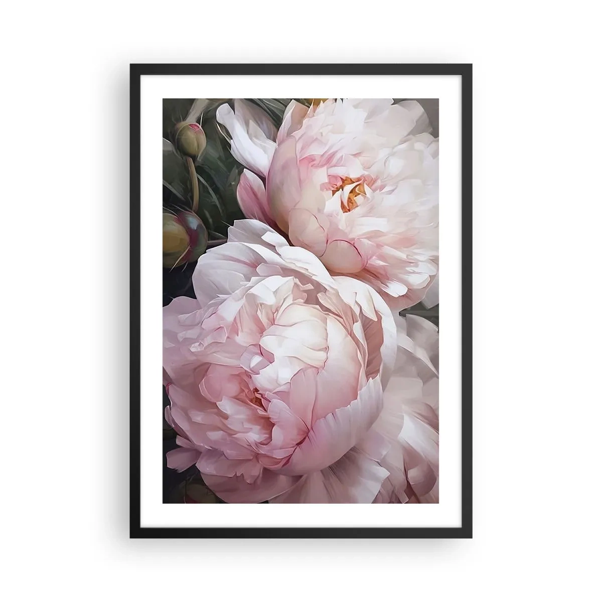 Poster in einem schwarzem Rahmen - Zarte Pfingstrosen in Pastelltönen von Rosa und Weiß - 50x70cm - In der Blüte angehalten - Moderne Wanddekoration für Wohnzimmer und Schlafzimmer ARTTOR