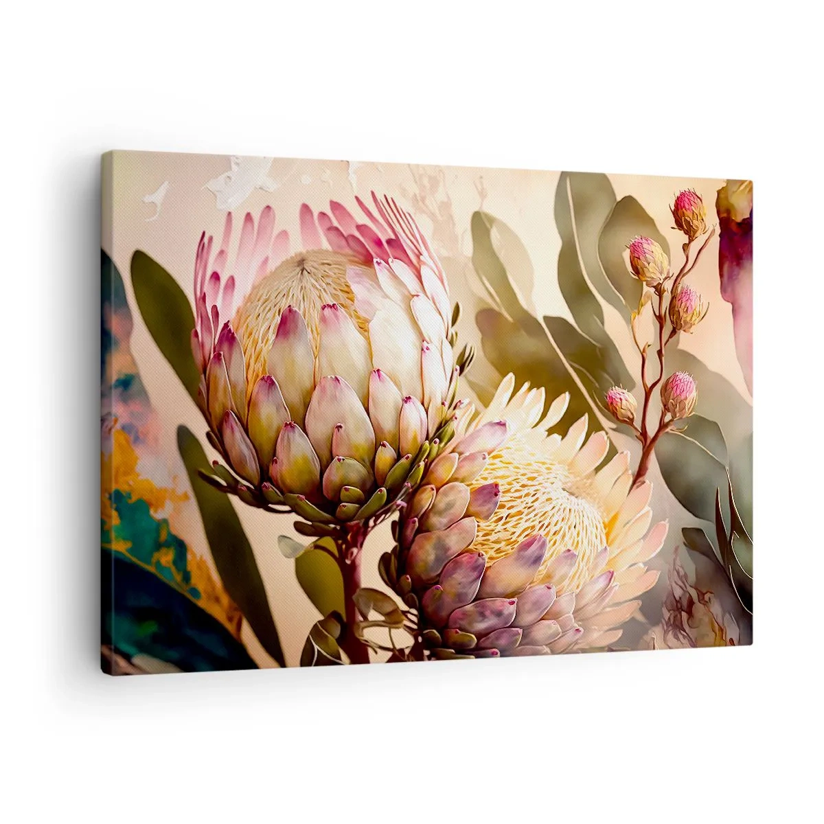 Bild auf Leinwand - Leinwandbild - Bunte Protea-Blüten auf zartem Hintergrund - 70x50cm - Zärtlich umarmt - Moderne Wanddekoration für Wohnzimmer und Schlafzimmer ARTTOR