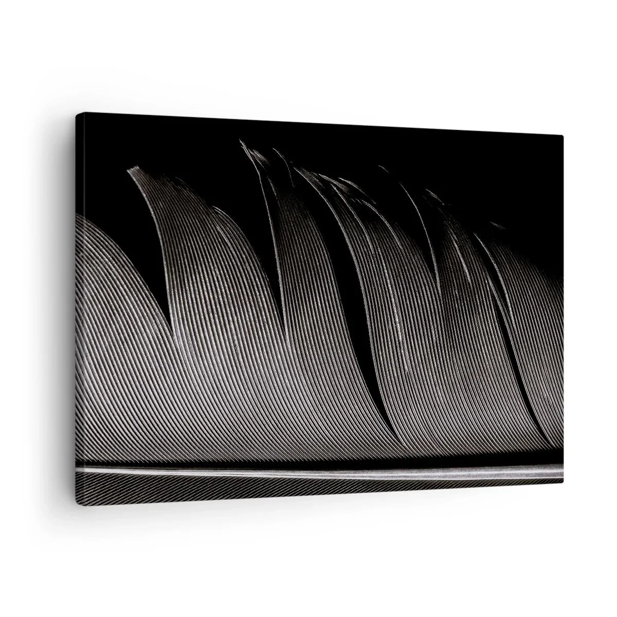 Bild auf Leinwand - Leinwandbild - Schwarz-weiße Federstruktur im minimalistischen Stil - 70x50cm - Stift – ein wunderbares Design - Moderne Wanddekoration für Wohnzimmer und Schlafzimmer ARTTOR