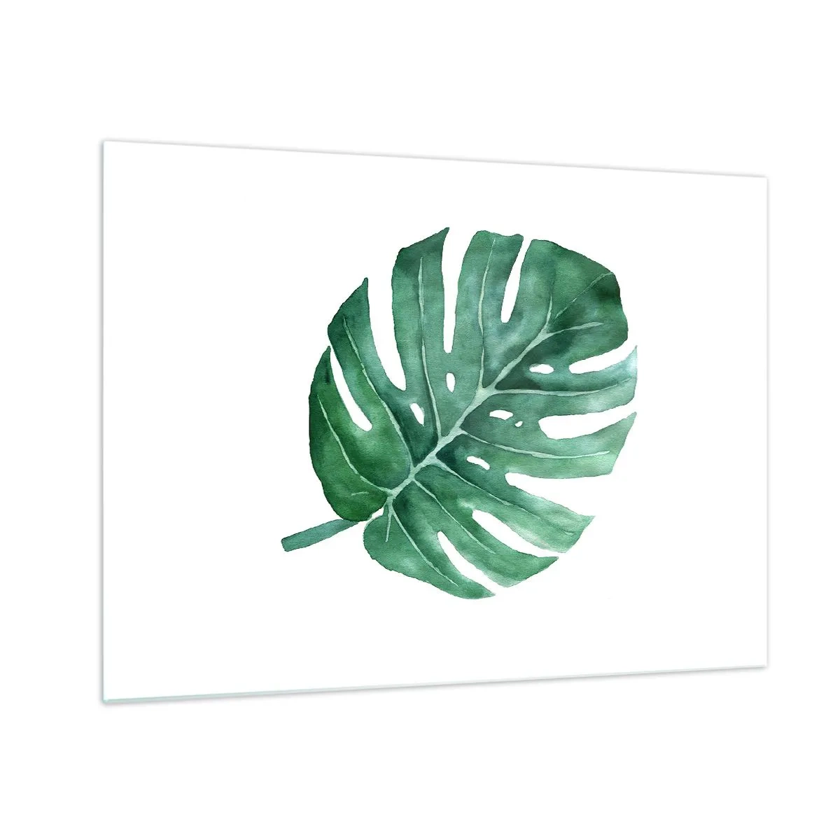 Glasbild - Bild auf glas - Grünes Monstera-Blatt auf weißem Hintergrund - 70x50cm - Grünes Konzept - Moderne Wanddekoration für Wohnzimmer und Schlafzimmer ARTTOR