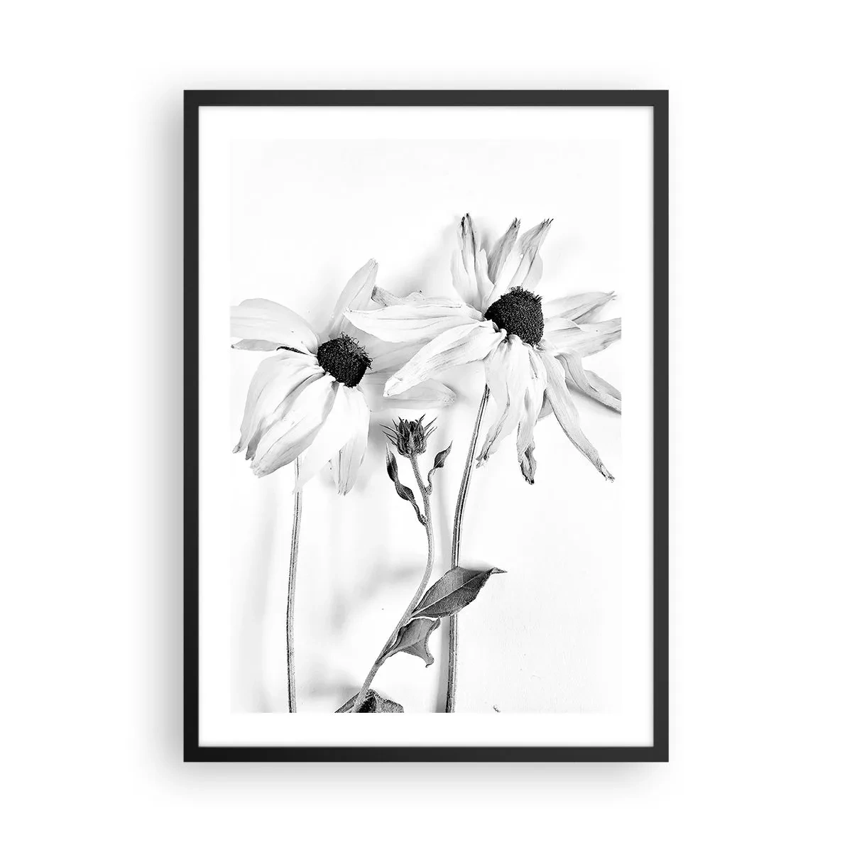 Poster in einem schwarzem Rahmen - Schwarz-weiße Blumen im minimalistischen Stil auf hellem Hintergrund - 50x70cm - Niemand will allein sein - Moderne Wanddekoration für Wohnzimmer und Schlafzimmer ARTTOR