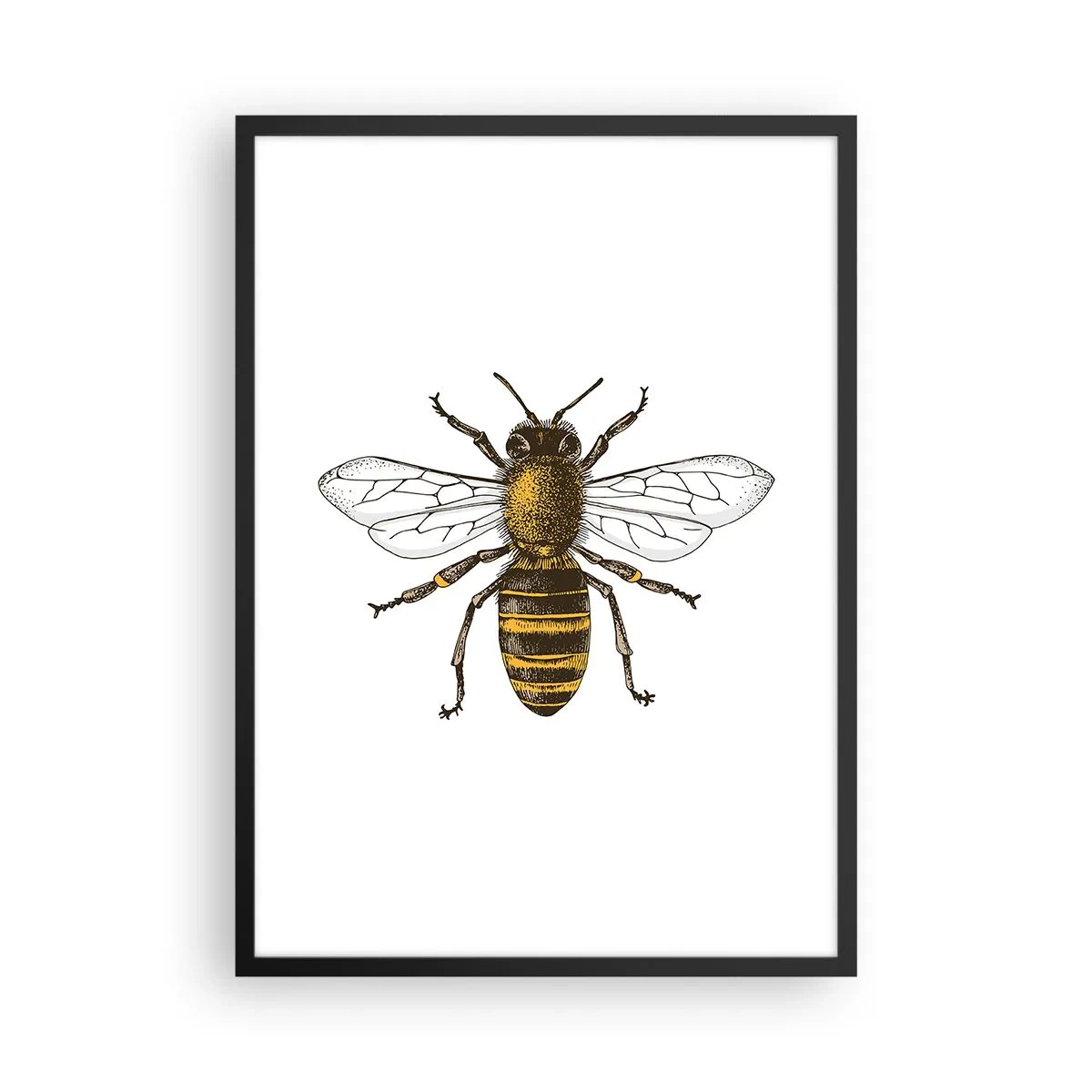 Poster in einem schwarzem Rahmen - Vintage Bienendetailillustration - 50x70cm - Schön und gut - Moderne Wanddekoration für Wohnzimmer und Schlafzimmer ARTTOR