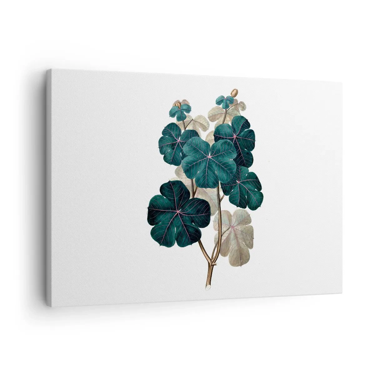 Bild auf Leinwand - Leinwandbild - Botanische Illustration mit Blättern in Grün- und Beigetönen - 70x50cm - Aus dem alten Herbarium - Moderne Wanddekoration für Wohnzimmer und Schlafzimmer ARTTOR