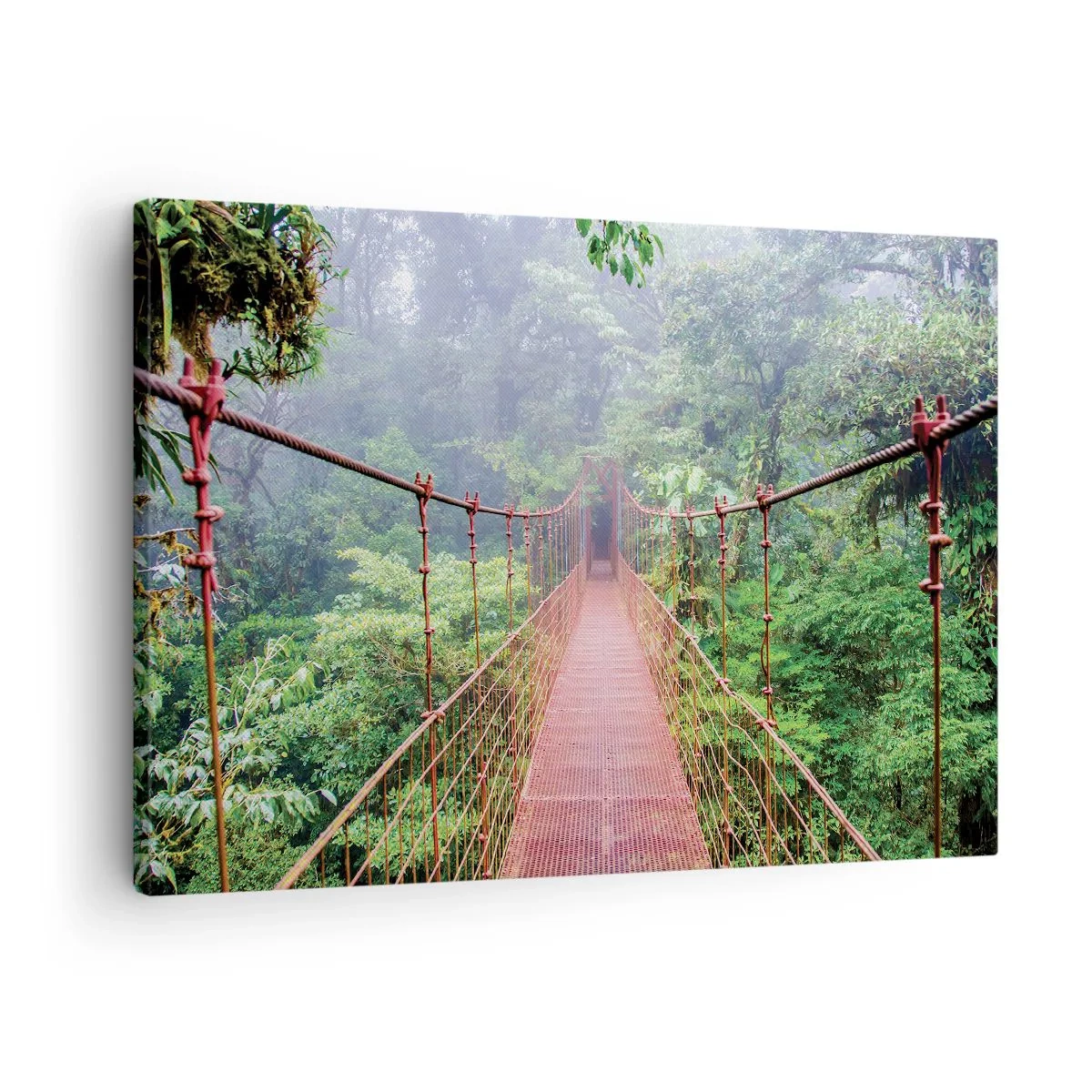 Bild auf Leinwand - Leinwandbild - Eine Hängebrücke in einem tropischen Dschungel, umgeben von Nebel - 70x50cm - Über den Kronen aufgehängt - Moderne Wanddekoration für Wohnzimmer und Schlafzimmer ARTTOR