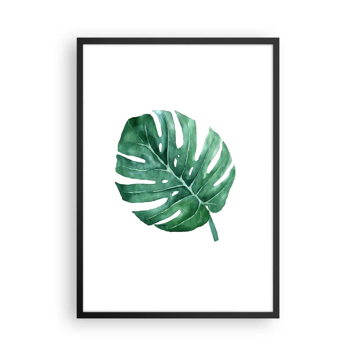Poster in einem schwarzem Rahmen - Aquarell-Illustration eines Monstera-Blattes auf weißem Hintergrund - 50x70cm - Grünes Konzept - Moderne Wanddekoration für Wohnzimmer und Schlafzimmer ARTTOR