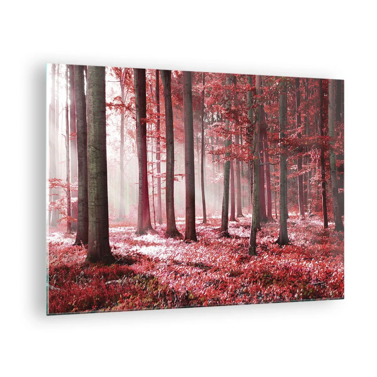 Glasbild - Bild auf glas - Herbstwald in roten Farben und Morgennebel - 70x50cm - Rot ist genauso schön - Moderne Wanddekoration für Wohnzimmer und Schlafzimmer ARTTOR