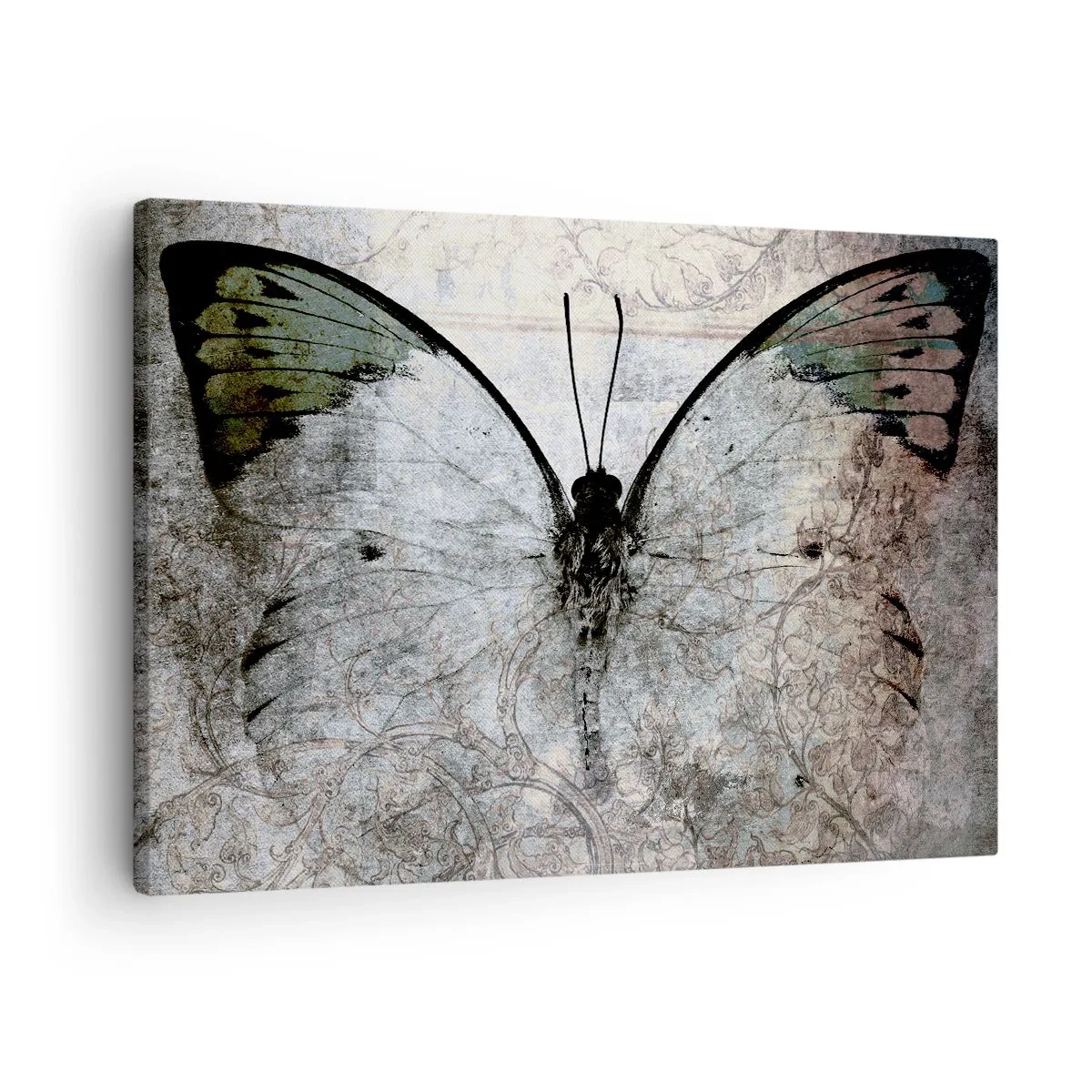 Bild auf Leinwand - Leinwandbild - Ein Schmetterling in Grün- und Grautönen auf dekorativem Hintergrund - 70x50cm - Im Jugendstil - Moderne Wanddekoration für Wohnzimmer und Schlafzimmer ARTTOR