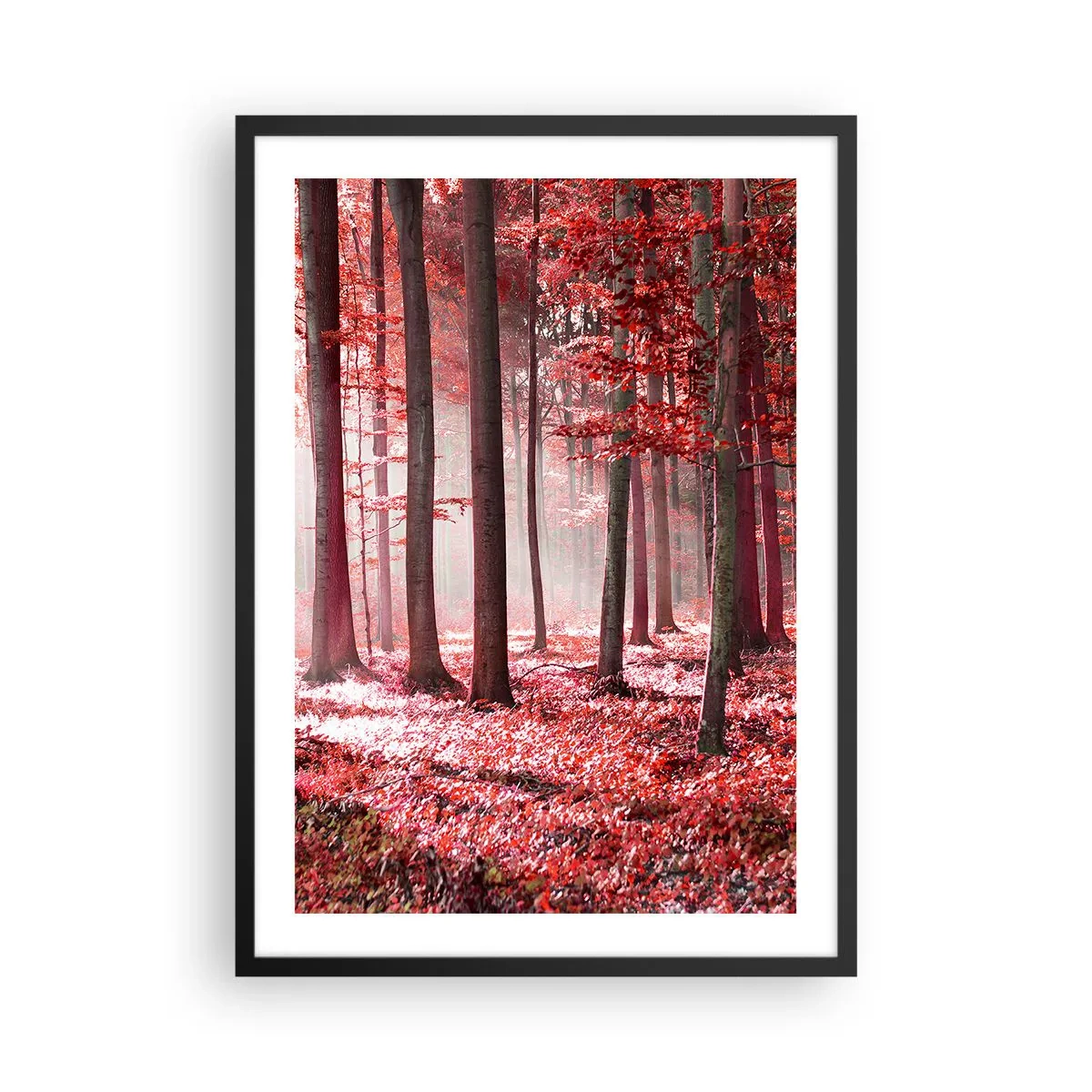 Poster in einem schwarzem Rahmen - Ein Wald mit roten Blättern und Nebel am Morgen - 50x70cm - Rot ist genauso schön - Moderne Wanddekoration für Wohnzimmer und Schlafzimmer ARTTOR