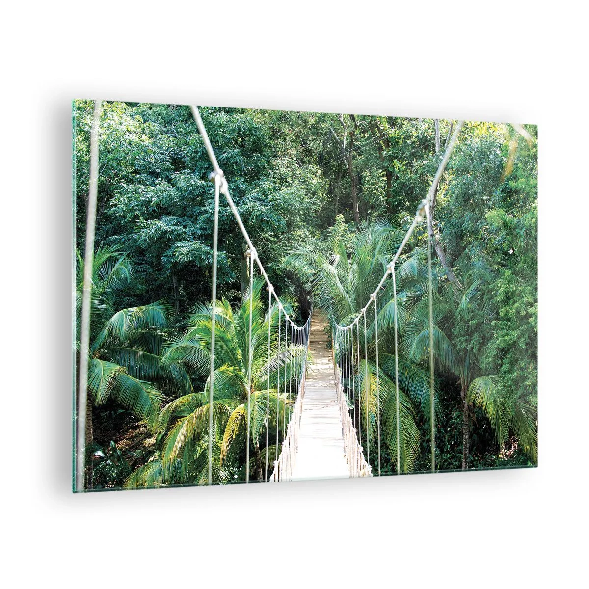 Glasbild - Bild auf glas - Hängebrücke in einem tropischen Wald - 70x50cm - Willkommen im Dschungel! - Moderne Wanddekoration für Wohnzimmer und Schlafzimmer ARTTOR