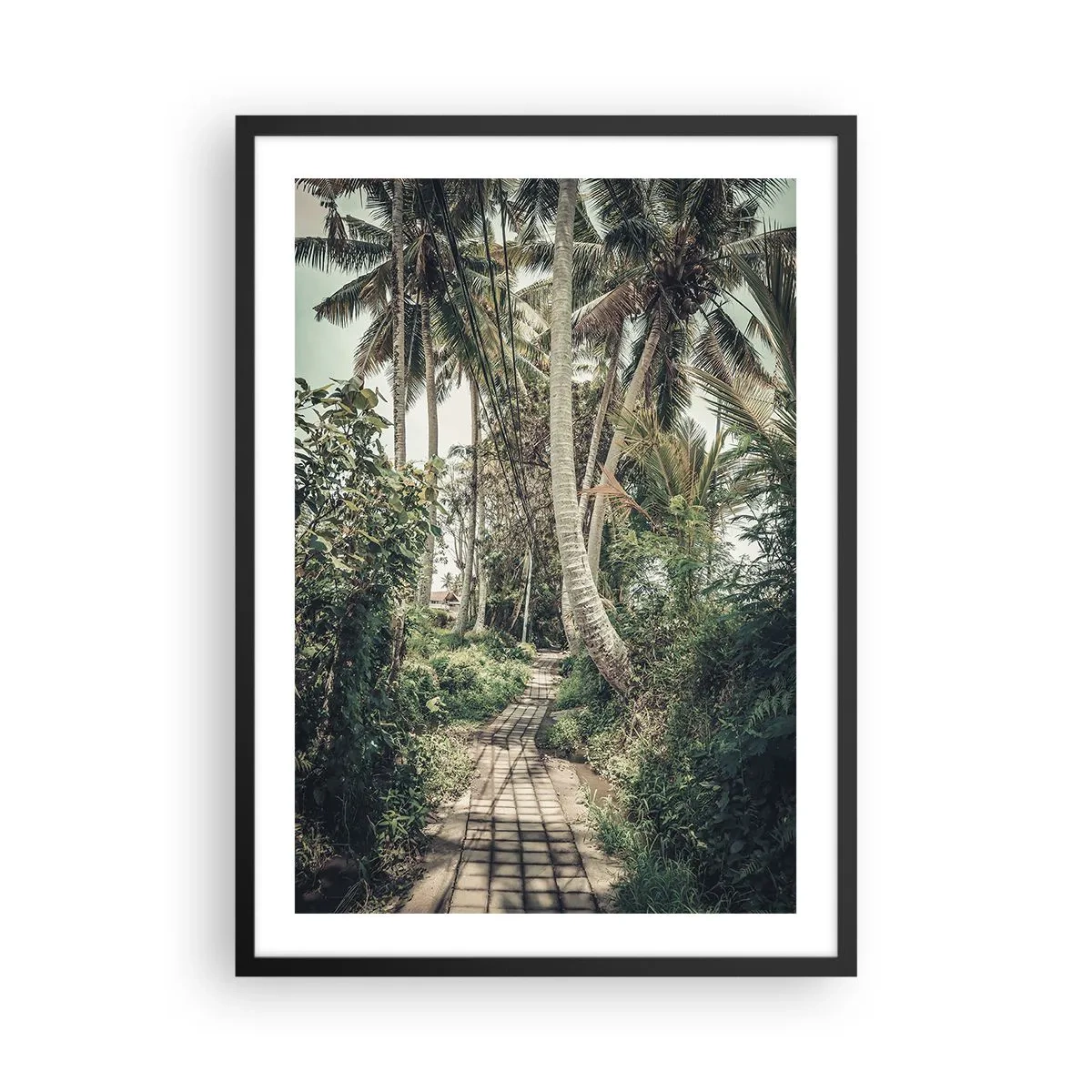 Poster in einem schwarzem Rahmen - Ein exotischer Pfad zwischen Palmen in einer tropischen Landschaft - 50x70cm - Palmenallee - Moderne Wanddekoration für Wohnzimmer und Schlafzimmer ARTTOR