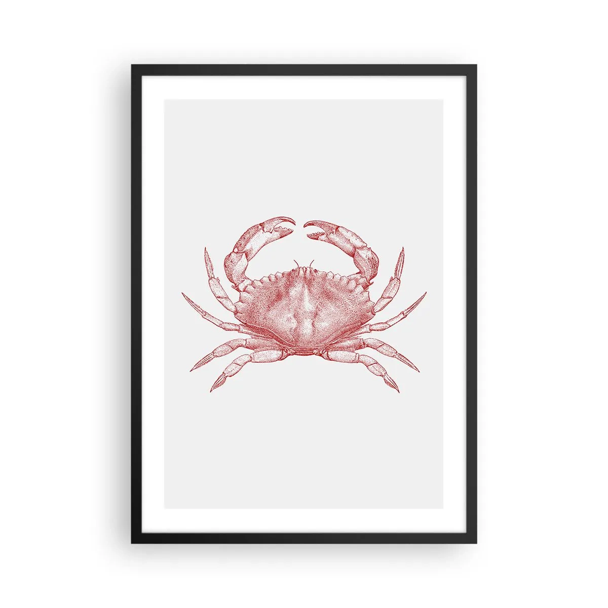 Poster in einem schwarzem Rahmen - Vintage Krabbenzeichnung auf hellem Hintergrund - 50x70cm - Krabbe aller Krabben - Moderne Wanddekoration für Wohnzimmer und Schlafzimmer ARTTOR