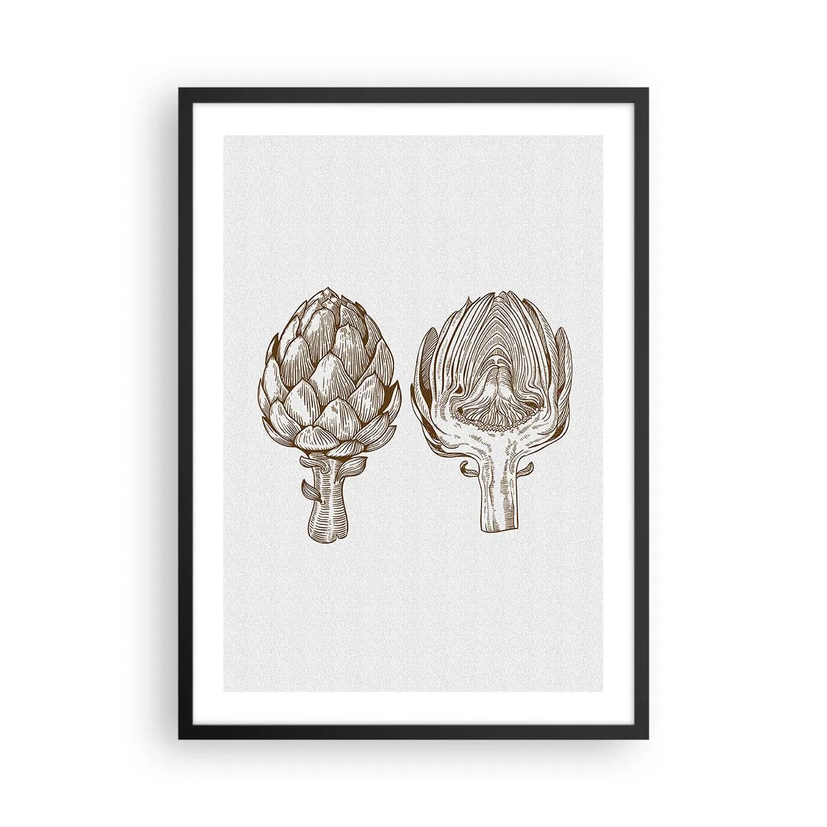 Poster in einem schwarzem Rahmen - Vintage Illustration von zwei Artischocken - 50x70cm - Anatomie-Lektion - Moderne Wanddekoration für Wohnzimmer und Schlafzimmer ARTTOR