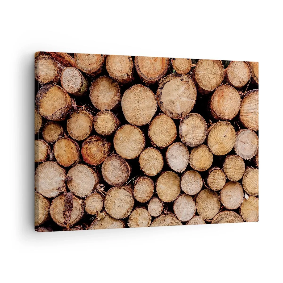 Bild auf Leinwand - Leinwandbild - Stapel gefällter Baumstämme in harmonischer Anordnung - 70x50cm - Ein neuer Anfang - Moderne Wanddekoration für Wohnzimmer und Schlafzimmer ARTTOR