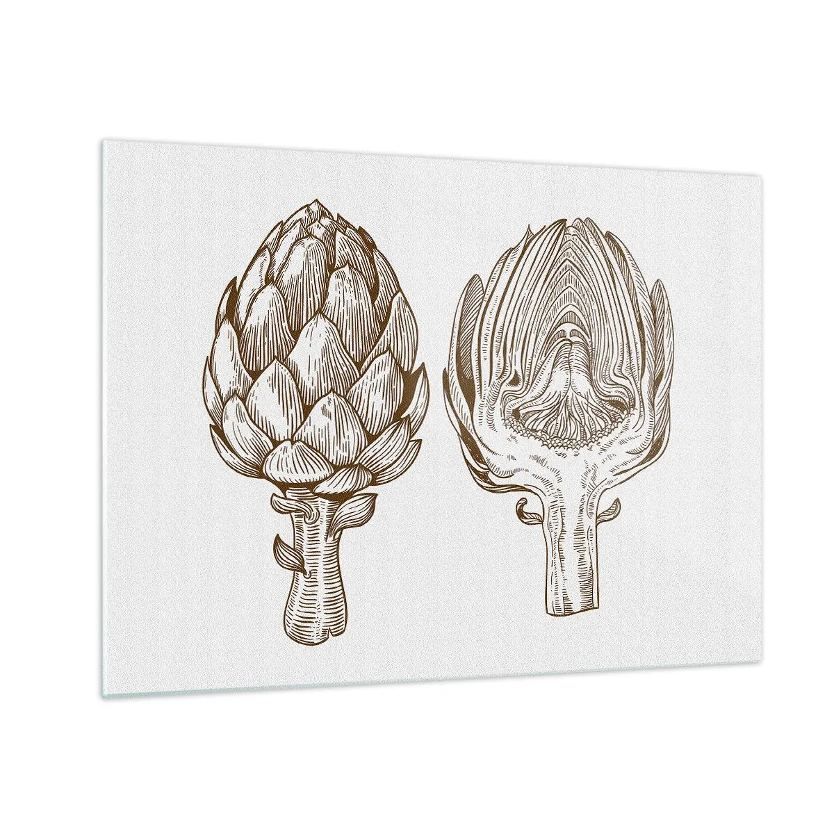 Glasbild - Bild auf glas - Botanische Zeichnung einer Artischocke im Ganzen und im Querschnitt - 70x50cm - Anatomie-Lektion - Moderne Wanddekoration für Wohnzimmer und Schlafzimmer ARTTOR