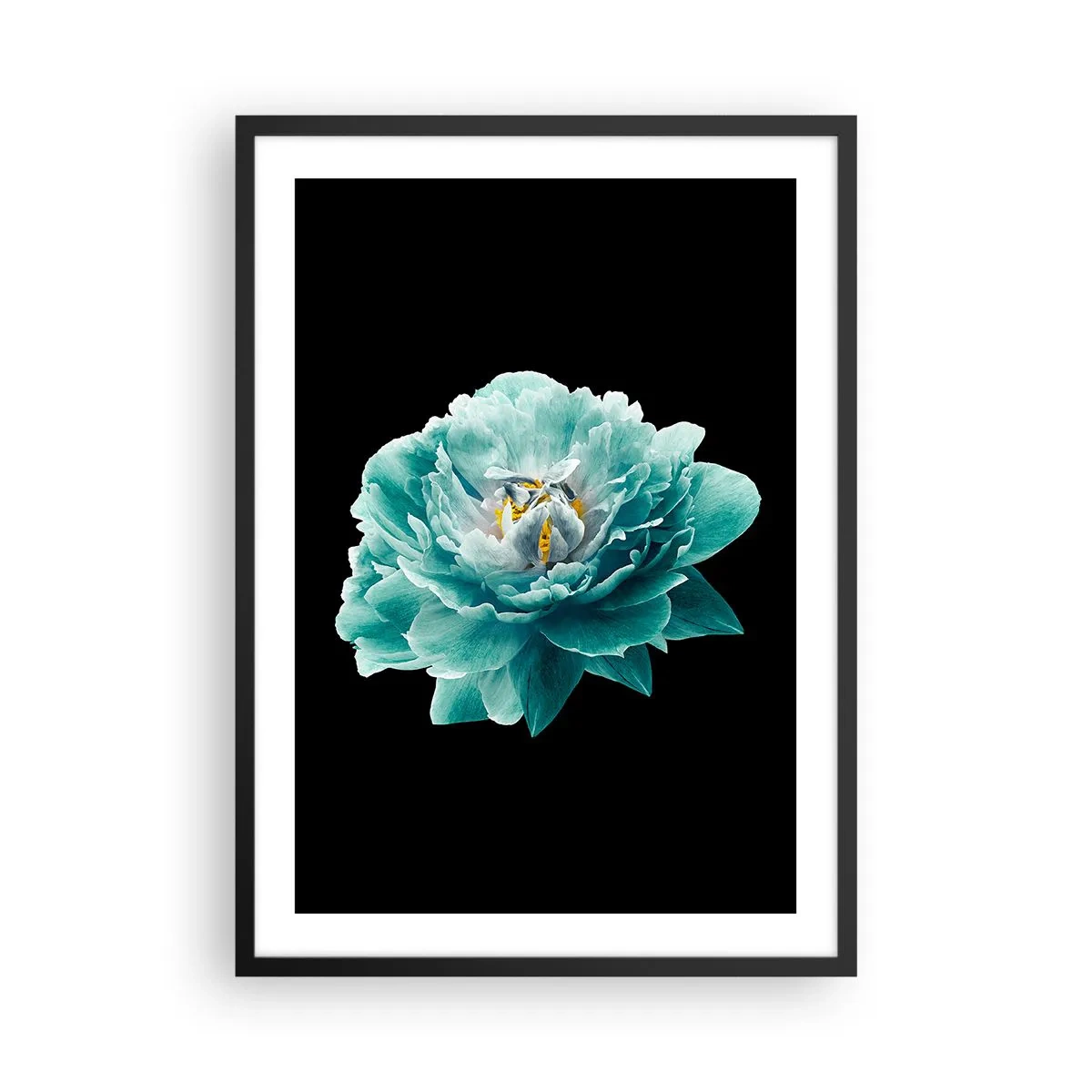 Poster in einem schwarzem Rahmen - Türkisfarbene Blume mit einer Biene auf schwarzem Hintergrund - 50x70cm - Blaue und goldene Blütenblätter - Moderne Wanddekoration für Wohnzimmer und Schlafzimmer ARTTOR