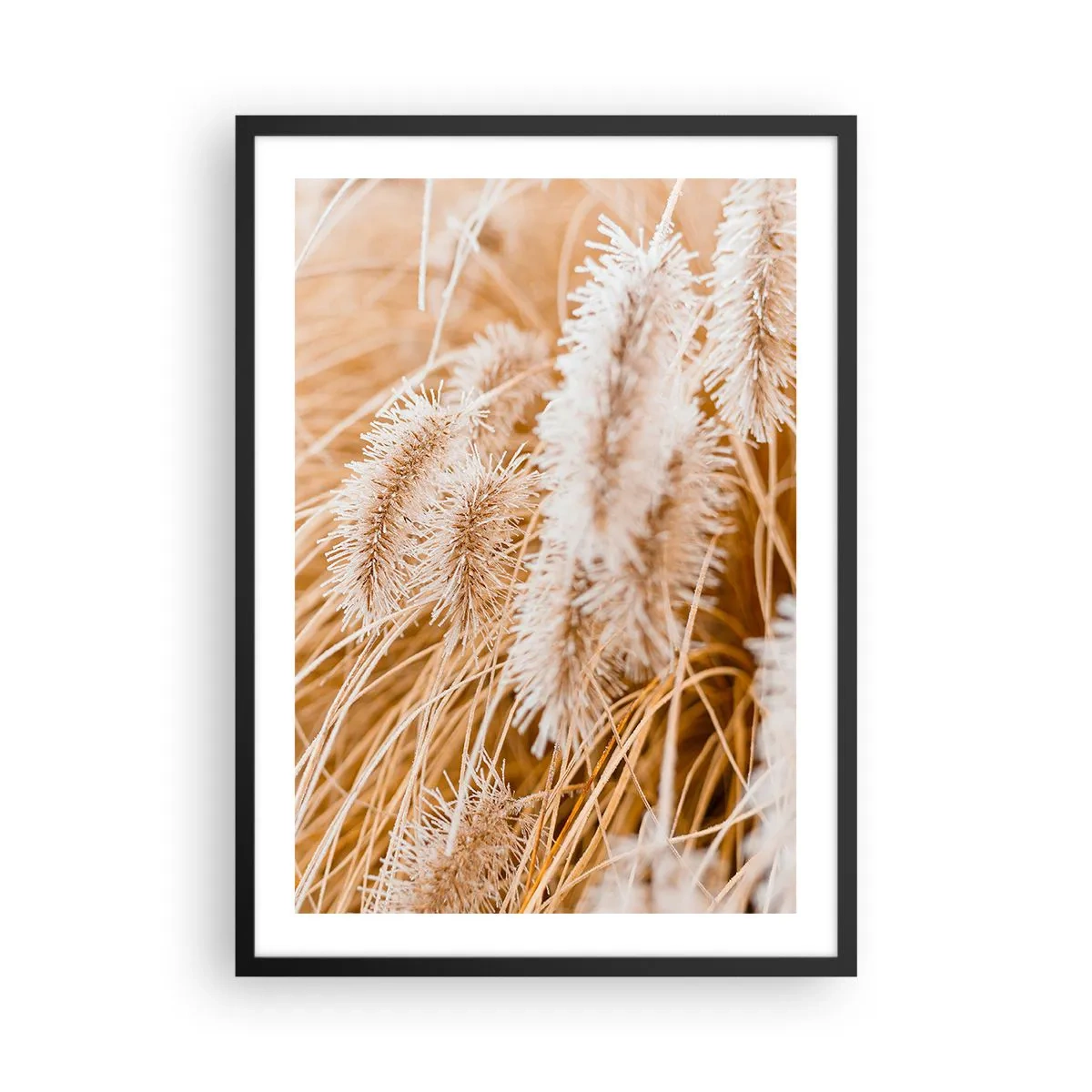 Poster in einem schwarzem Rahmen - Zarte Grashalme in pastelligen Beigetönen - 50x70cm - Das goldene Rauschen des Grases - Moderne Wanddekoration für Wohnzimmer und Schlafzimmer ARTTOR